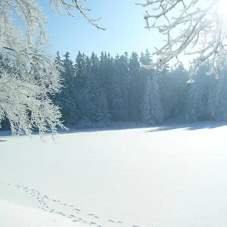 Kladska Mariánské Lázně